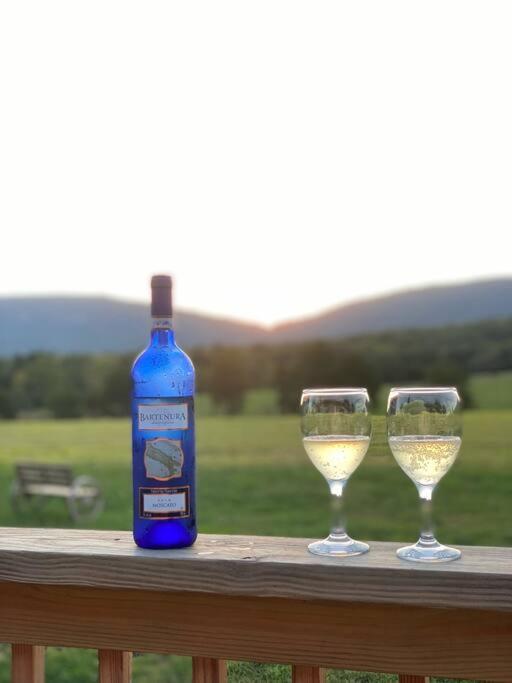 Vila Holly Tree Retreat Located In Beautiful Luray, Va. Exteriér fotografie
