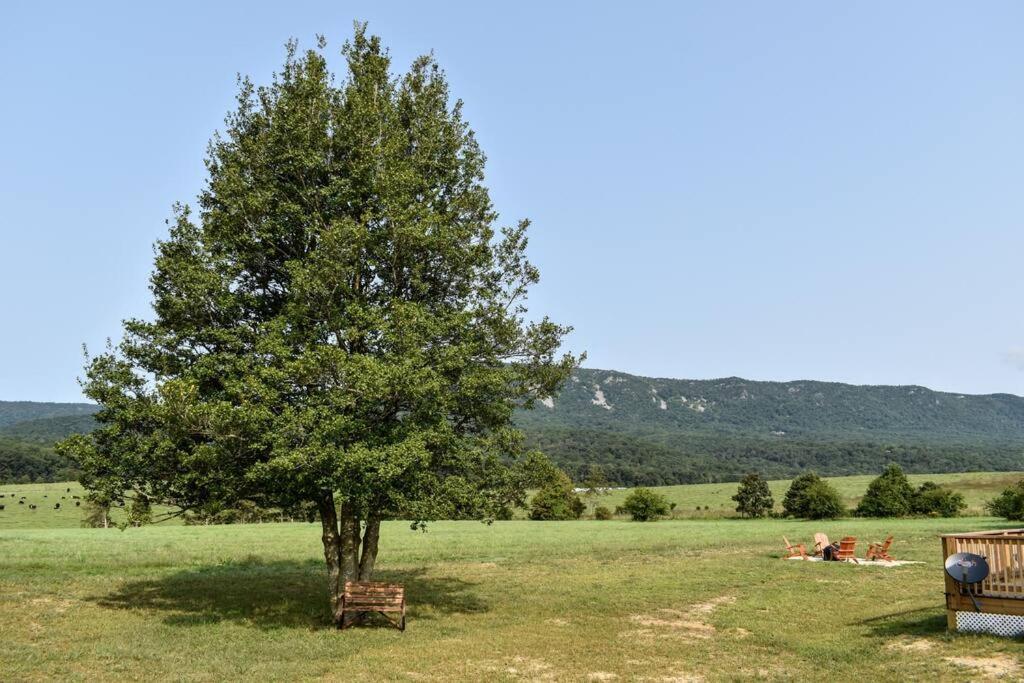 Vila Holly Tree Retreat Located In Beautiful Luray, Va. Exteriér fotografie