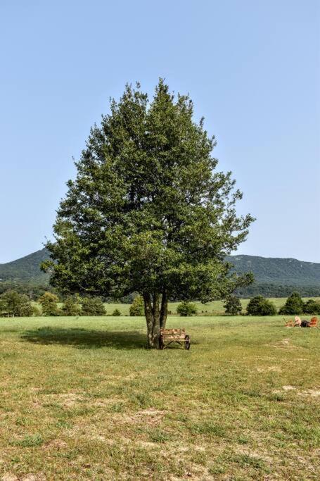 Vila Holly Tree Retreat Located In Beautiful Luray, Va. Exteriér fotografie