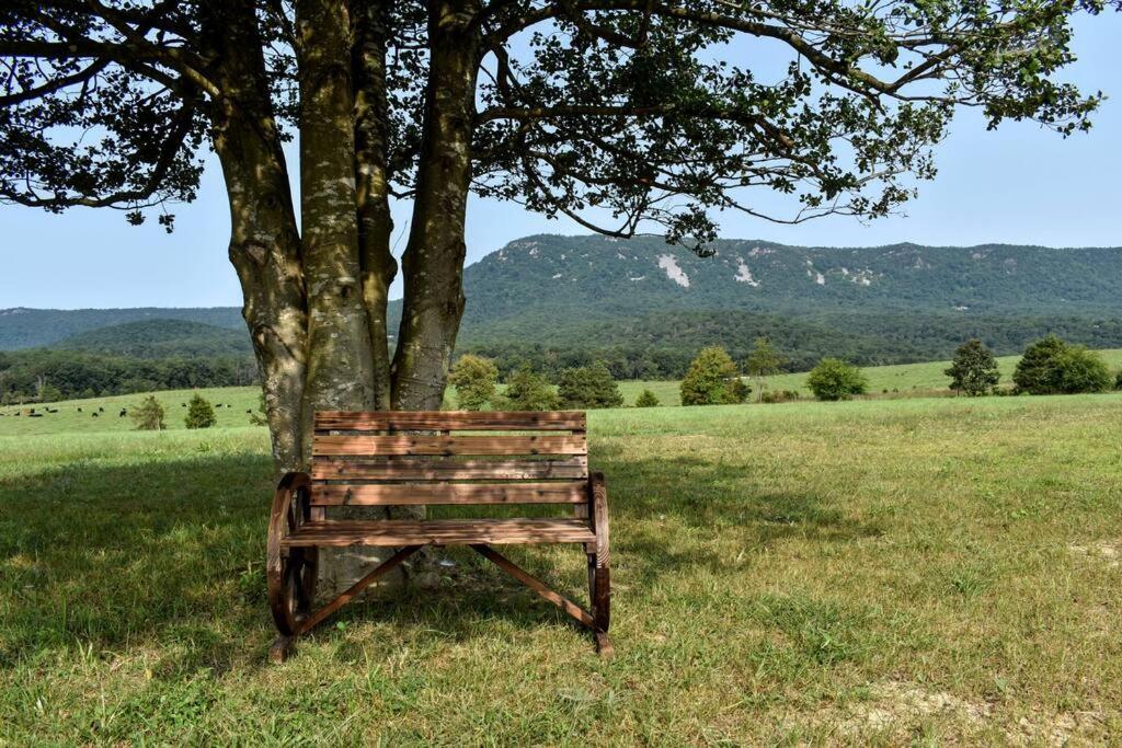 Vila Holly Tree Retreat Located In Beautiful Luray, Va. Exteriér fotografie