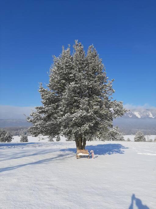 Vila Holly Tree Retreat Located In Beautiful Luray, Va. Exteriér fotografie