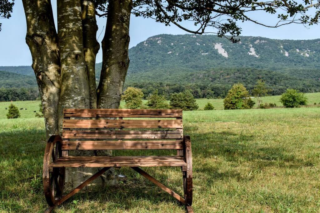 Vila Holly Tree Retreat Located In Beautiful Luray, Va. Exteriér fotografie