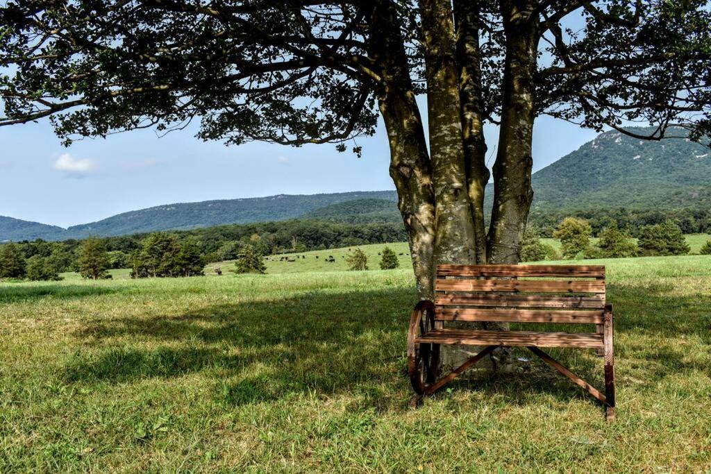 Vila Holly Tree Retreat Located In Beautiful Luray, Va. Exteriér fotografie
