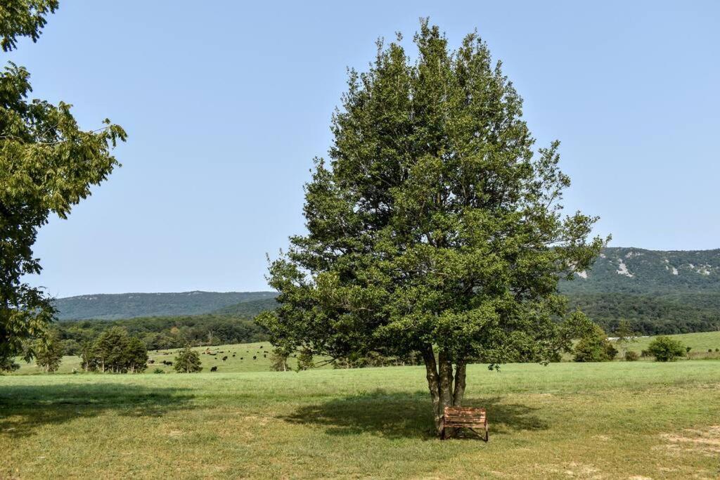 Vila Holly Tree Retreat Located In Beautiful Luray, Va. Exteriér fotografie